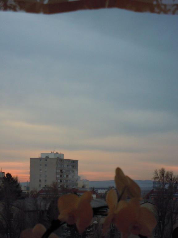 Apartament Orchidee Wiener Neudorf Zewnętrze zdjęcie